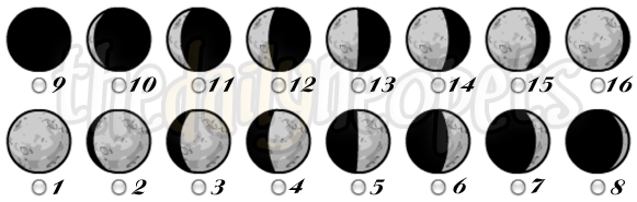 Lunar Chart Neopets